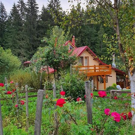 Forest Vibes Spa Cimpu lui Neag Exterior photo
