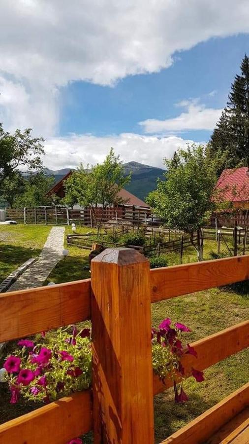 Forest Vibes Spa Cimpu lui Neag Exterior photo