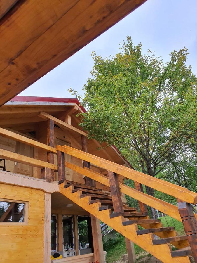 Forest Vibes Spa Cimpu lui Neag Exterior photo