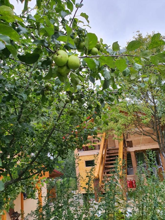 Forest Vibes Spa Cimpu lui Neag Exterior photo