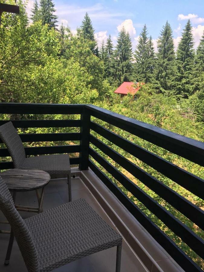 Forest Vibes Spa Cimpu lui Neag Exterior photo