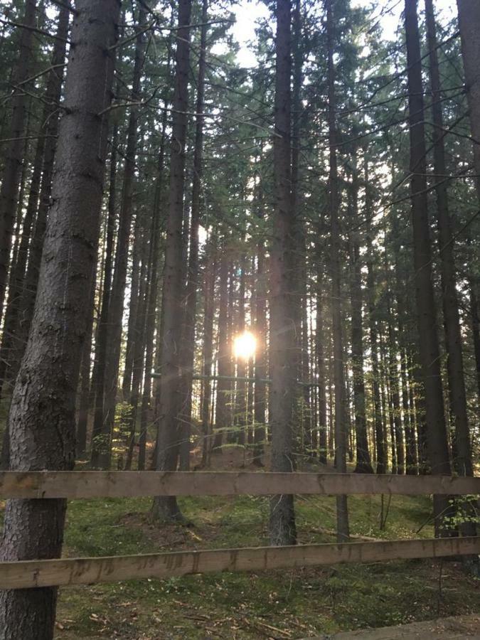 Forest Vibes Spa Cimpu lui Neag Exterior photo