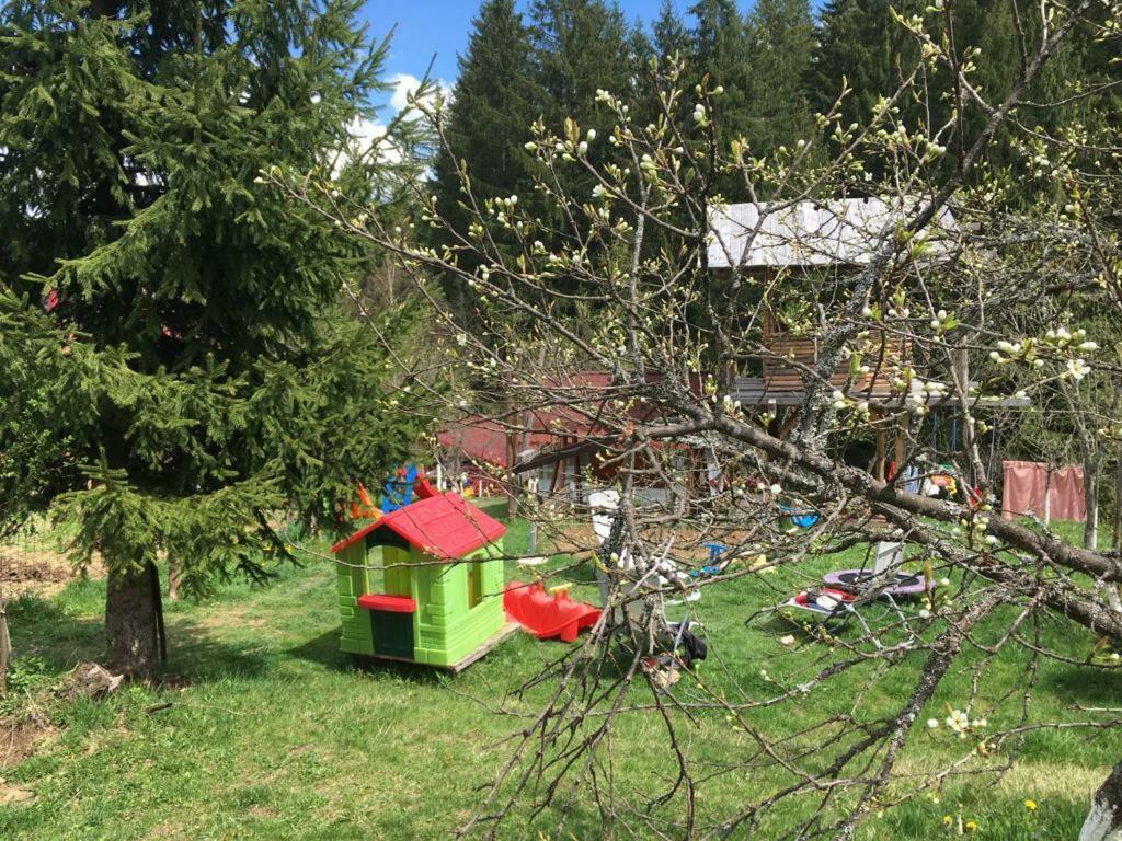 Forest Vibes Spa Cimpu lui Neag Exterior photo